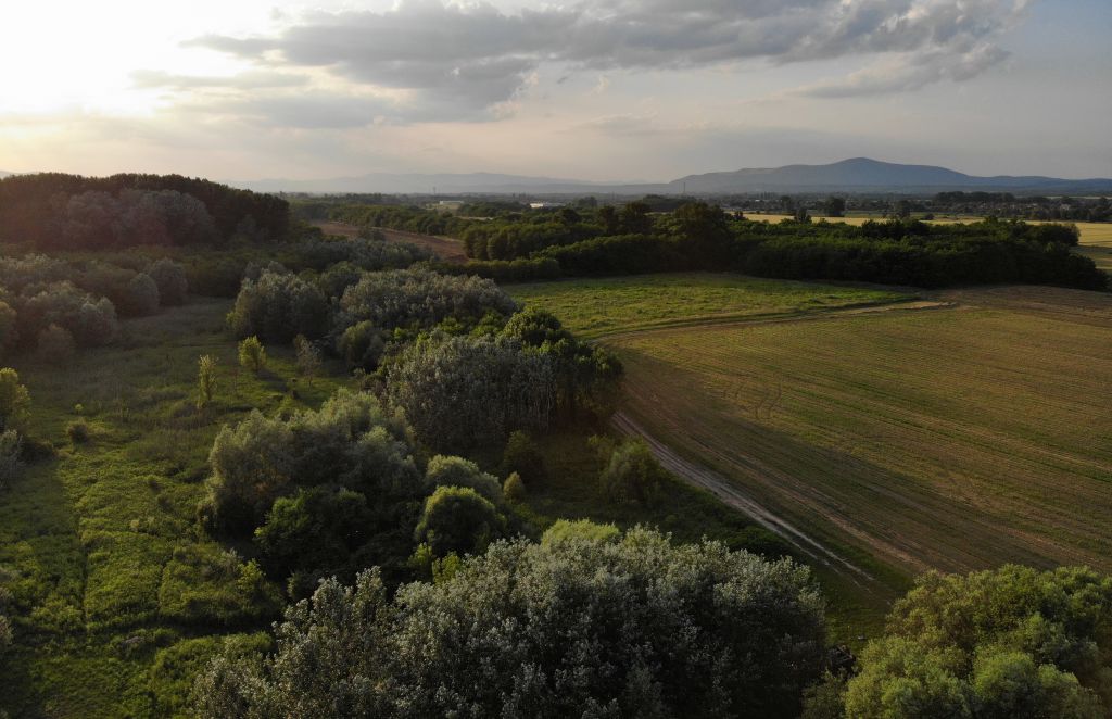 csapatépítő tréning